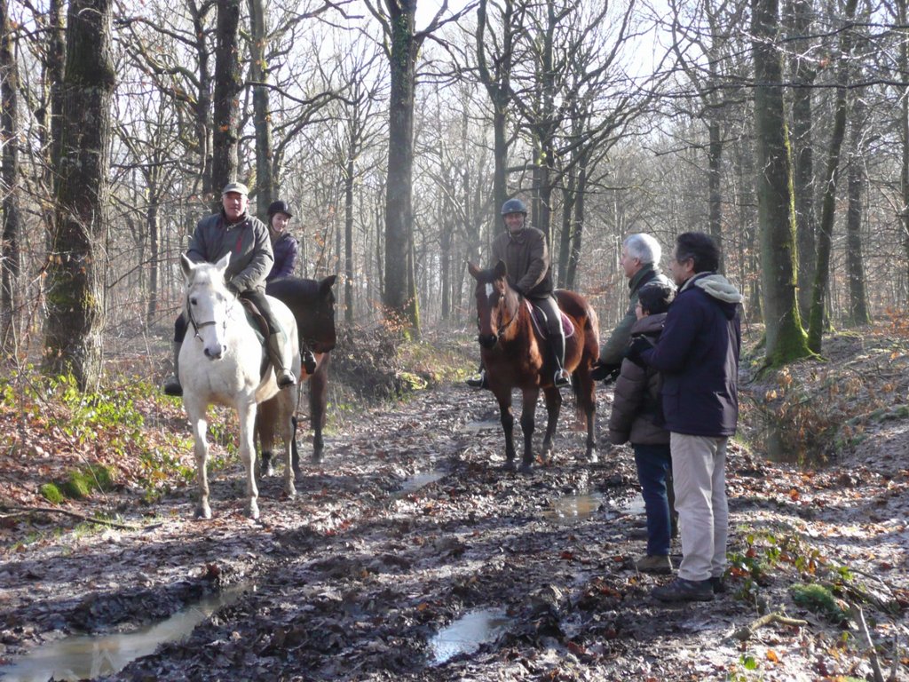 P1280455 [Résolution de l'écran]
